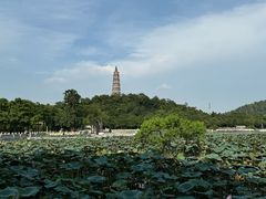 -顺峰山公园