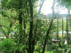-谷咖啡·鲜花绿植花园餐厅