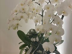 -光作面包Voila Lumiere(中山店)