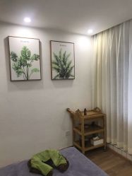 护理环境-薇薇安花系SPA