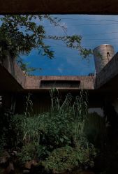 -罗亚帝·NASHOW纳秀形象设计