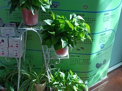 -自然之声助听器·呼吸机(和平店)