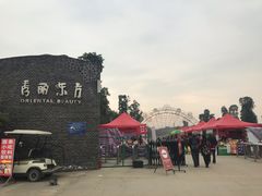 -秀丽东方