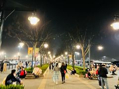-迪士尼乐园停车场