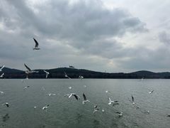 -水上明月·湖景餐厅