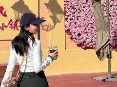 -枫叶小镇奥特莱斯