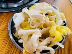 鸡油菌-钰洁腊排骨火锅