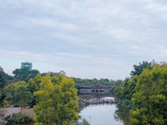 -张坝桂圆林公园