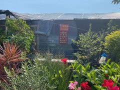 -龙大花卉苗木市场