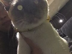 -吱咖啡西式简餐
