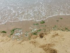 景点-在海一方公园