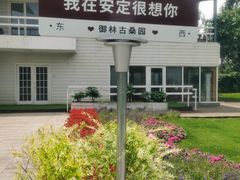-御林古桑园