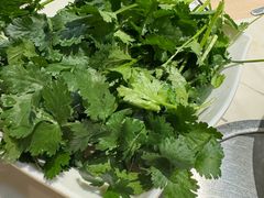 香菜-围炉夜话·潮汕卤水火锅(榕江店)