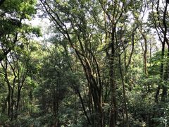 -广州市帽峰山景区