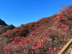 -水峪民俗村