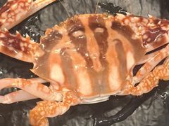 -亚特兰蒂斯-番红花海鲜自助餐厅·鲜活海鲜·小火锅