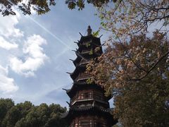 -上海佘山国家森林公园西佘山园