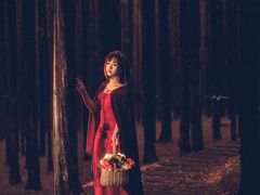 -铁山坪森林公园