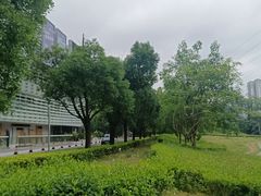 -羚羊峡古栈道森林公园