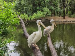 -济南野生动物世界