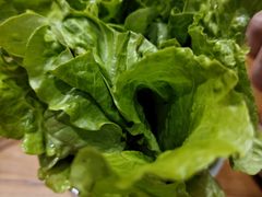 -虾领航小龙虾·吉林烧烤(柳州路店)