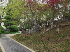 -北京友谊宾馆·俄罗斯餐厅