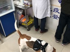 -申普宠物医院·眼科·心内科·影像科(普陀分院)