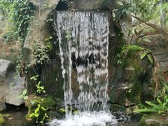 -南山植物园