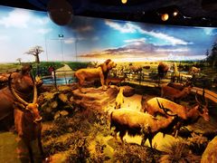 -陕西自然博物馆