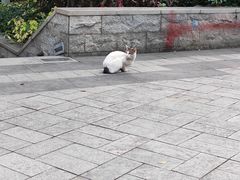-荔湾湖公园