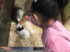 -上海大自然野生昆虫馆(东方明珠·爬宠昆虫探索中心)