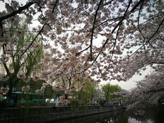 -常熟方塔园