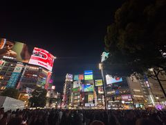 -涩谷区