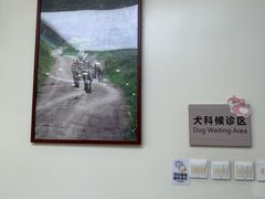 -美联众合动物医院·24h转诊中心