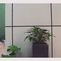 -无界瑜伽普拉提