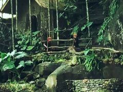 -海南槟榔谷黎苗文化旅游区