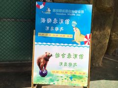 景点-泉州海丝野生动物世界