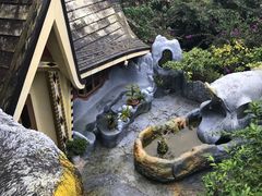 -疯狂屋