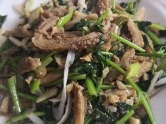 -同乐馆(阳光店)