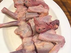 -南海鸽天下(肇庆店)