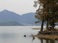 -四明湖