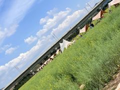 -光明小镇欢乐田园