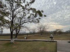 -盘龙城国家考古遗址公园