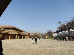 -千年银杏谷文化旅游区