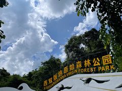 -西双版纳原始森林公园