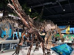 -国家自然博物馆