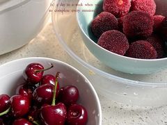 -百果园PAGODA(法华镇路店)