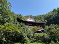 -十八棵（老龙井）御茶园(老龙井店)