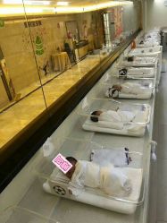 -爱贝蕊恩韩式月子会所(宝安店)