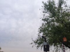 -长春市南湖公园